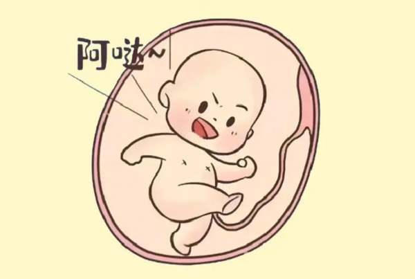 胎动频率高八成是个男娃