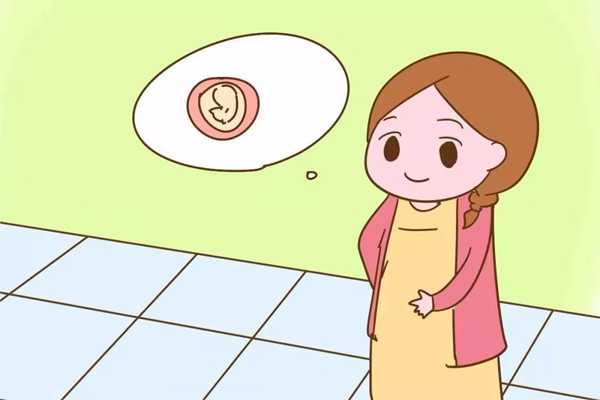 根据孕囊大小对照表怀孕50天有多大呢?