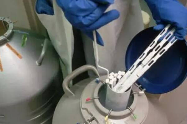 做供精试管不可以自由选择精源