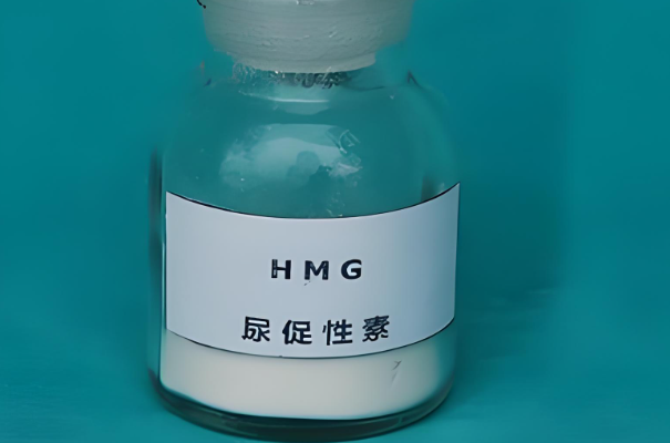 可促进卵泡发育的hmg是什么药物的缩写？