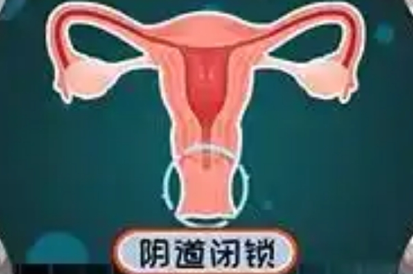 阴道闭锁子宫正常可以做试管