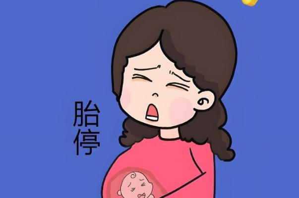 胎停后备孕要做染色体检查