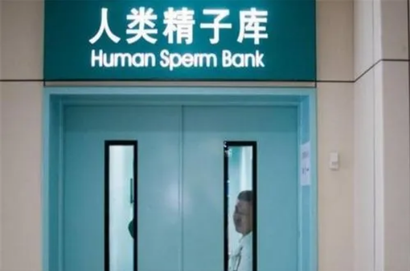 试管供精需要提供供精报告