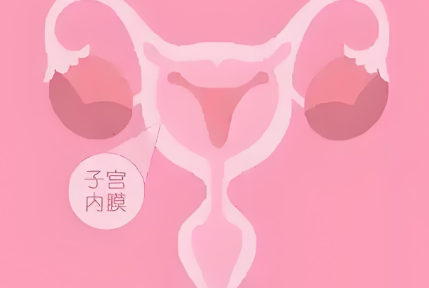 厚度2.1mm的子宫内膜能做试管婴儿移植吗？