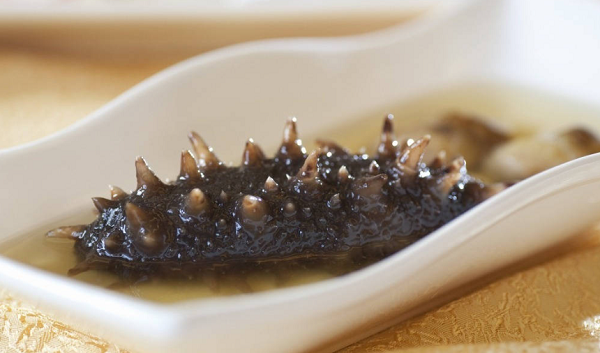 怀孕期间不能吃海参