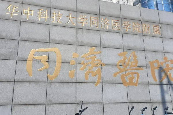 上海同济医院有卵子库吗，揭秘2024上海同济医院供卵相关问题