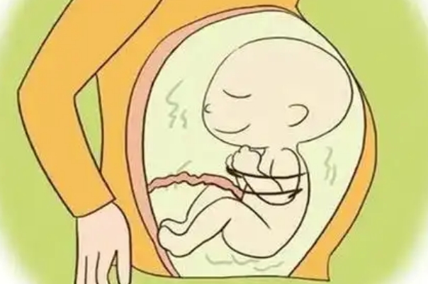 黄芪党参积壳生男孩真的准吗？看看本文你就知道了