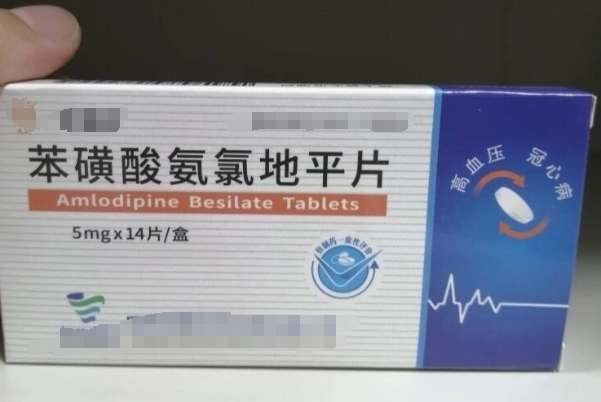 备孕期间可以每天吃苯磺酸氨氯地平片吗？