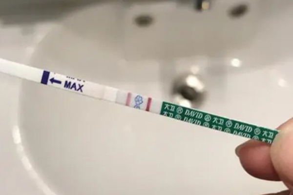 T是显示区C是对照区