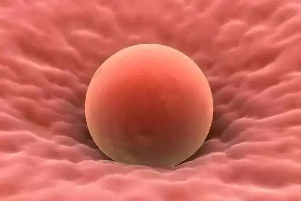 精子与卵子成功受精着床的5个表现汇总，孕妈要注意“接收”