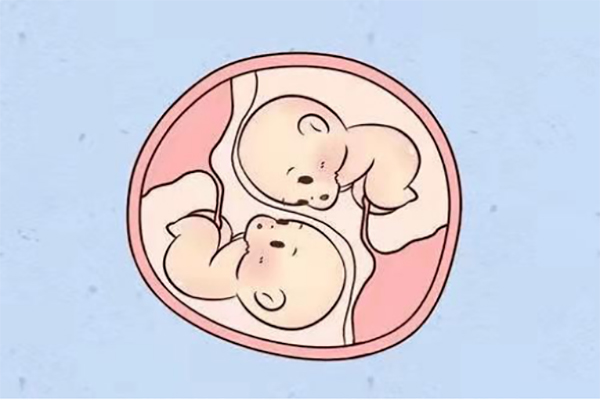 女性120斤做三代试管生双胎可以吗?