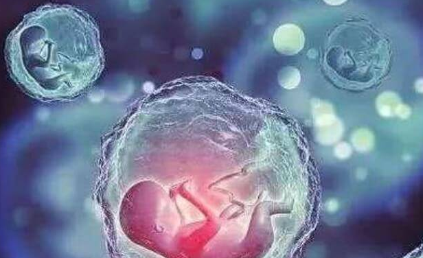囊胚和冻囊胚哪个着床快看这，关键还在于女性身体情况