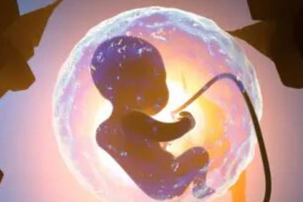 石女没有子宫不能人工受孕
