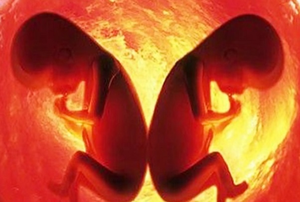10个人做试管2个怀双胎