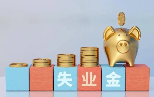 有人说在网上申请失业补助金后悔了是怎么回事呢？
