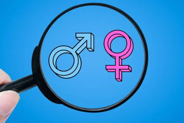 为什么很多经验宝妈说清宫图看性别绝大多数准确率高？