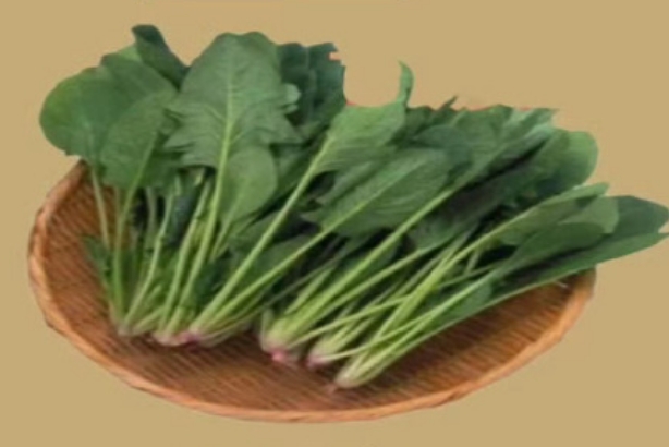 有助于备孕生男孩的碱性食物有哪些，常见的有菠菜、海带
