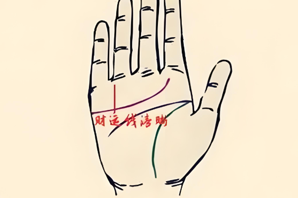 财运线清晰代表财运很好