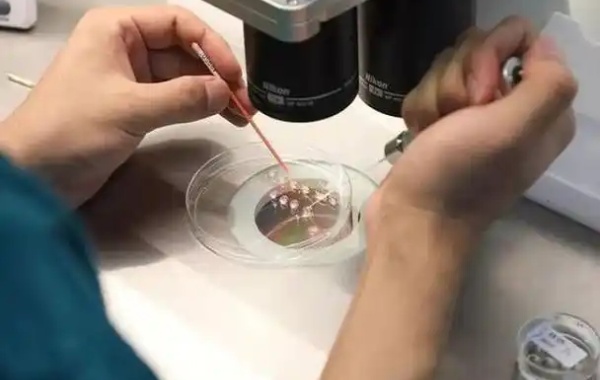 中年夫妻做3代试管能筛查出有六指症的胚胎吗？