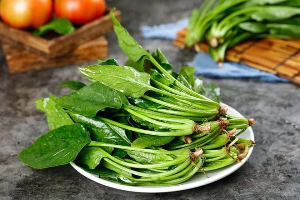 吃完菠菜千万别碰豆腐
