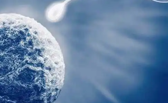 火速参考2025大连二代试管价格！附当地试管婴儿的成功率