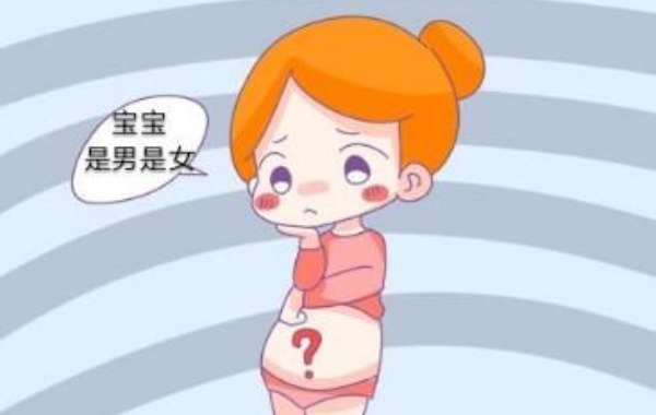 做试管移植等级5bb的囊胚怀孕后是男孩多还是女孩多？