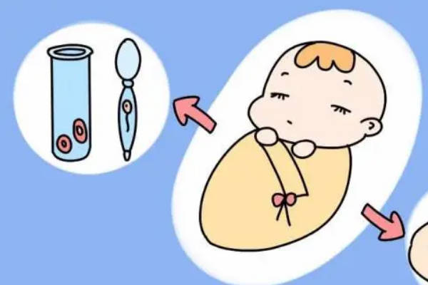 试管婴儿的寿命和普通孩子一样