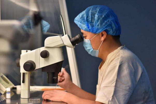 张岭医生擅长试管婴儿各项实验室技术