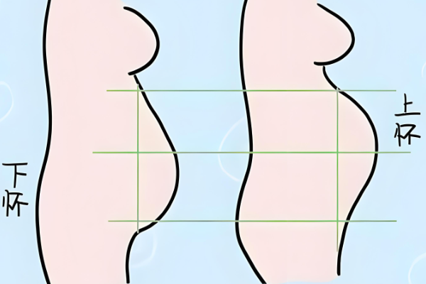 上怀孕妇不显怀