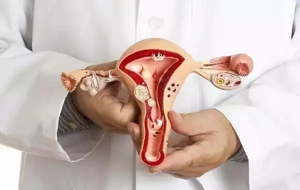 二超试管检查出有宫腔积液对胎儿发育有影响吗？