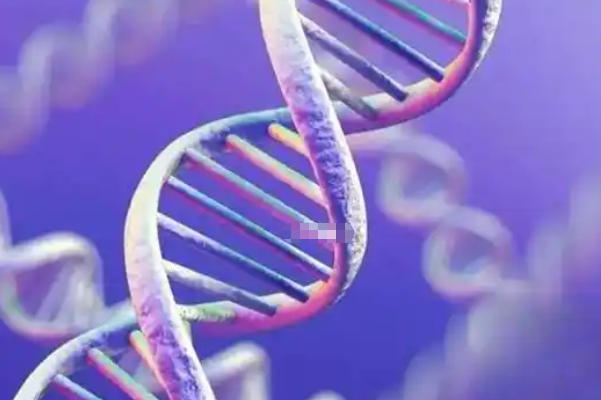 基因突变会导致胚胎异常