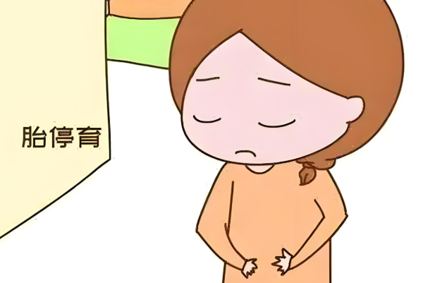 试管一级胚胎移植后二超胎停概率分析，高还是低取决于这几点