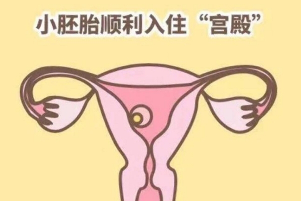 胚胎移植第七天正在着床