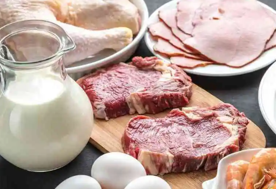 肉中含有较多的蛋白质