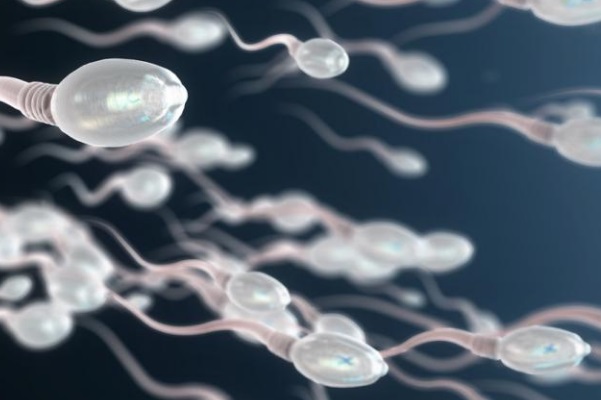 试管时男方精子活力低需要专门进行调理吗？