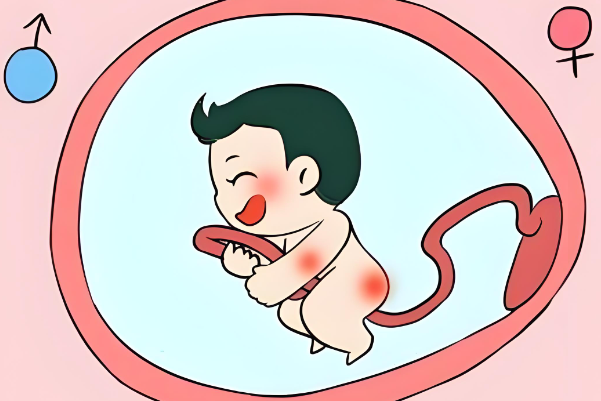 hcg值看男宝女宝是在孕6周抽血检查最准吗？