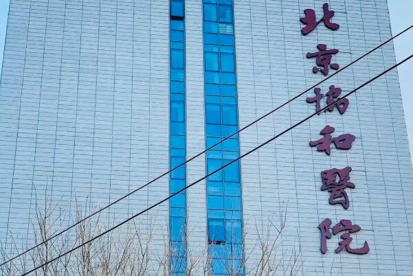 有大龄夫妻在北京协和医院做三代试管成功的吗？