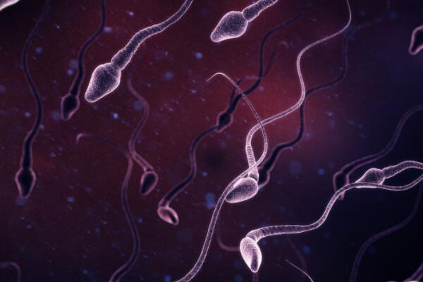 y精子代表男性精子活力