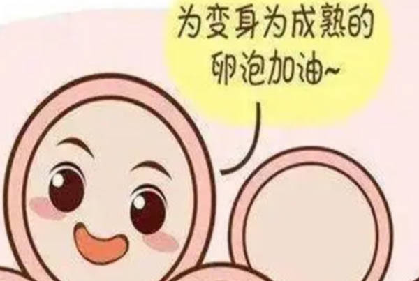 卵泡长得慢连续打了三天75单位的尿促性素针能长多少？