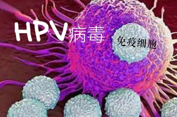 hpv高危不建议直接做试管
