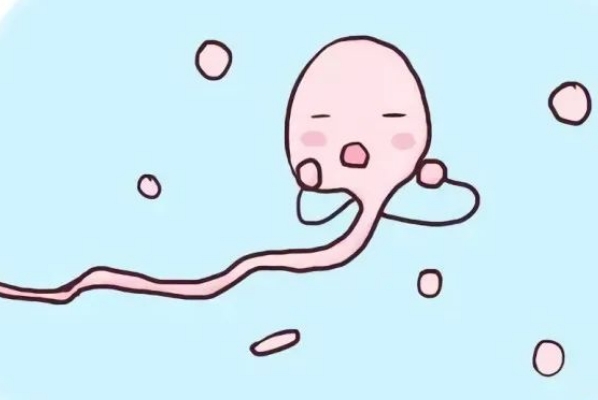 男的备孕多久精子最佳，一般建议提前3个月起跑