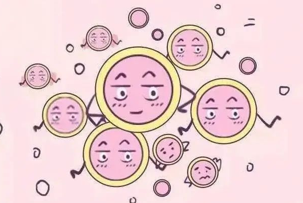 黄体期促排的优质卵子少