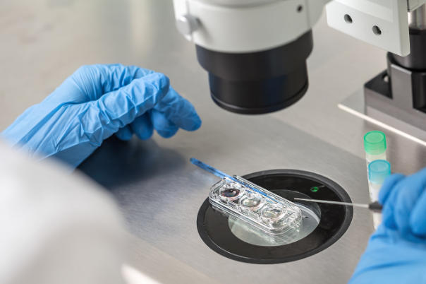 移植第八天能测到怀孕吗？胚胎着床的关键问题全解析