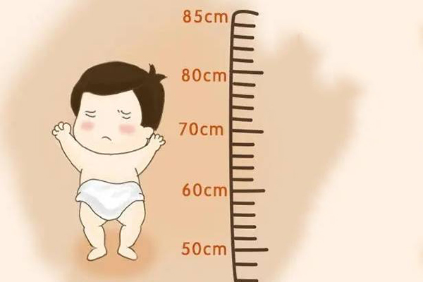 五个月女婴正常身高59.4-64.5厘米
