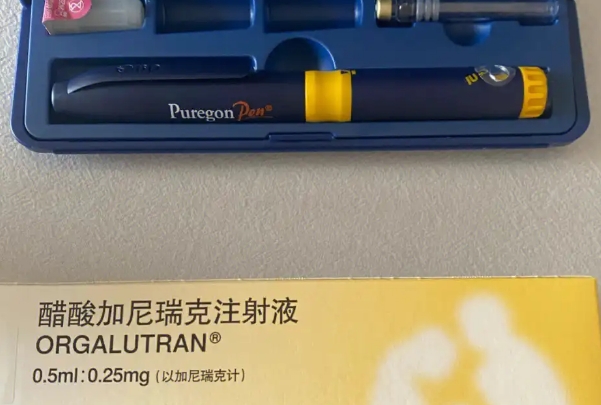 加尼瑞克可以影响卵泡的发育