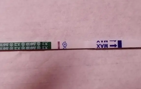 移植囊胚第十天大卫试纸没有测到两条杠是不是没有希望了？