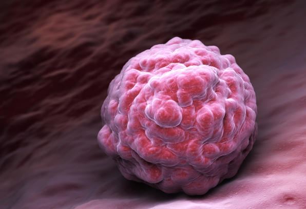 胚胎数量不等于培养囊胚的个数