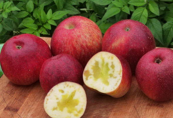 移植冻胚期间的大忌能不能吃苹果？这些细节你可能不知道！