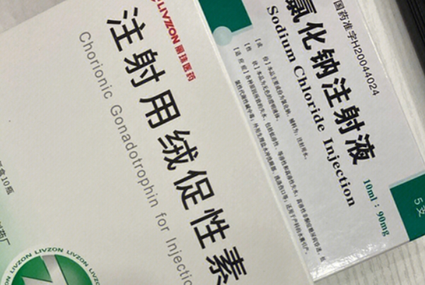 hcg主要作用是帮助维持妊娠