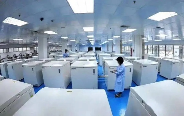 保存脐带血需要支付一定的费用